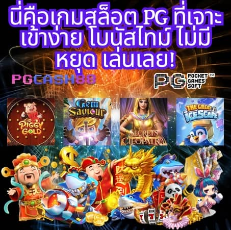 เว็บใจดี24